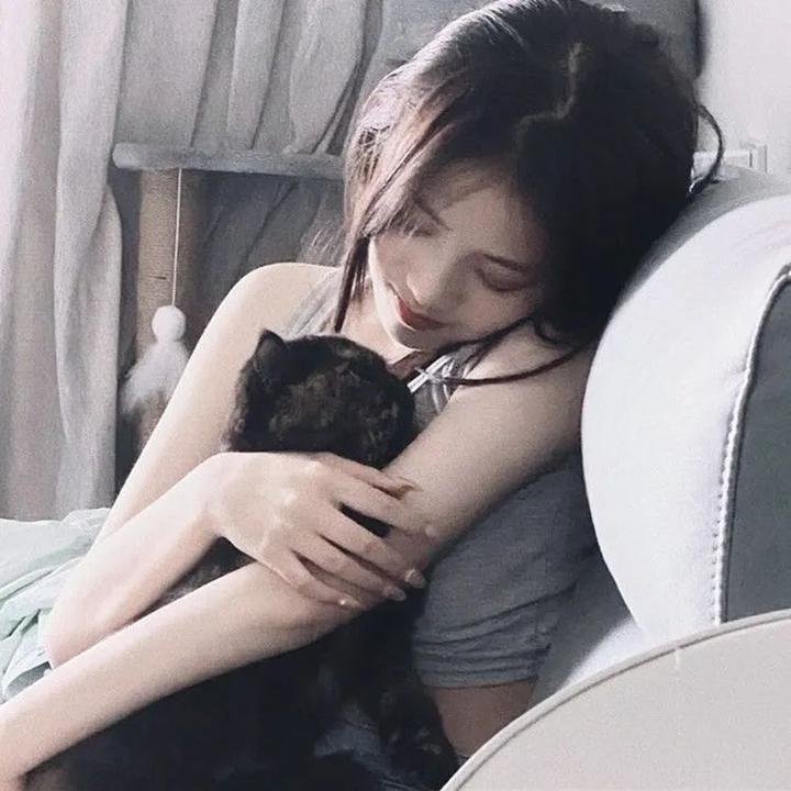 没有男人,女人更美 在线观看